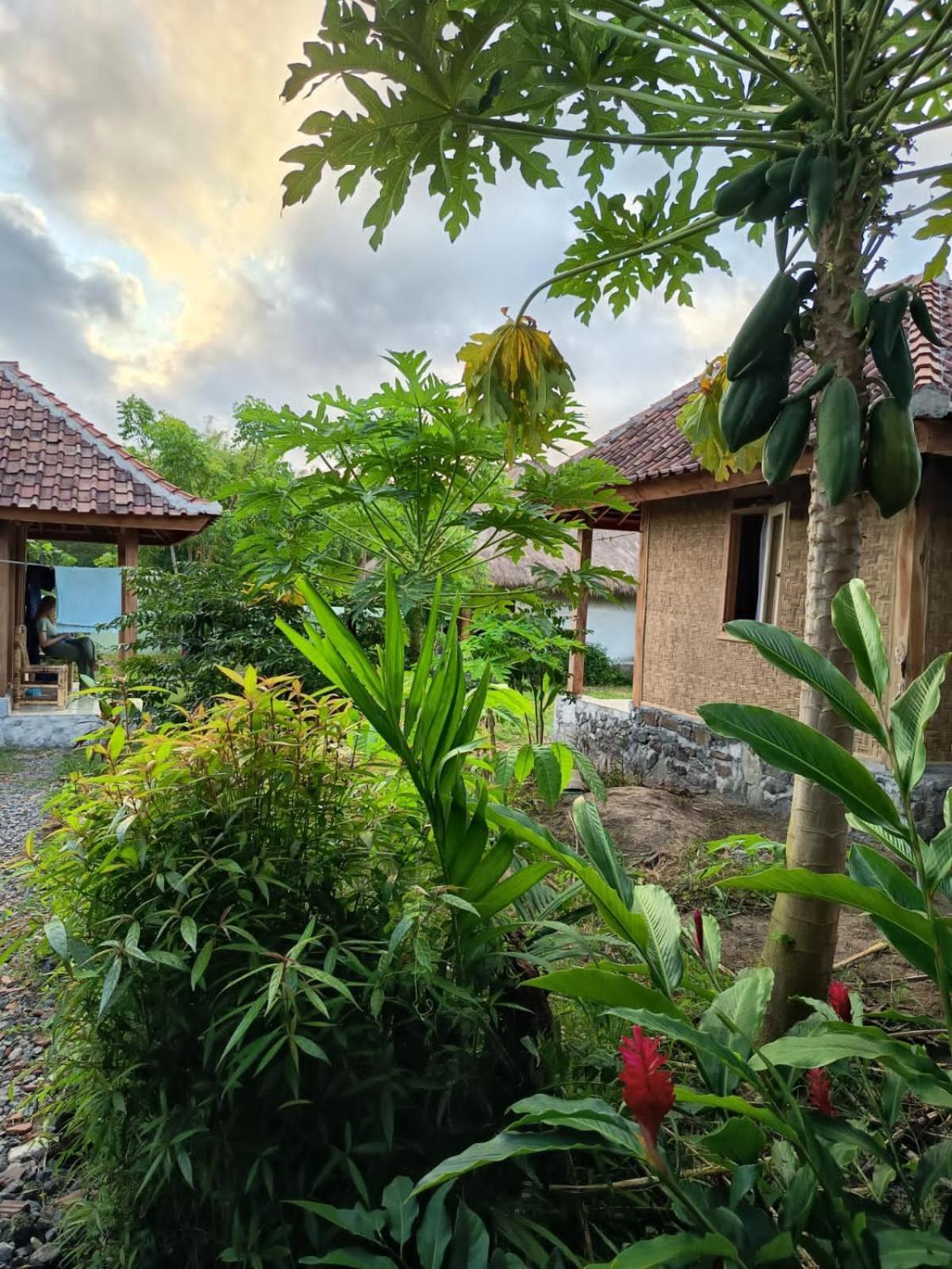 Melody Surf - Ekas Lombok Hotel Exterior photo